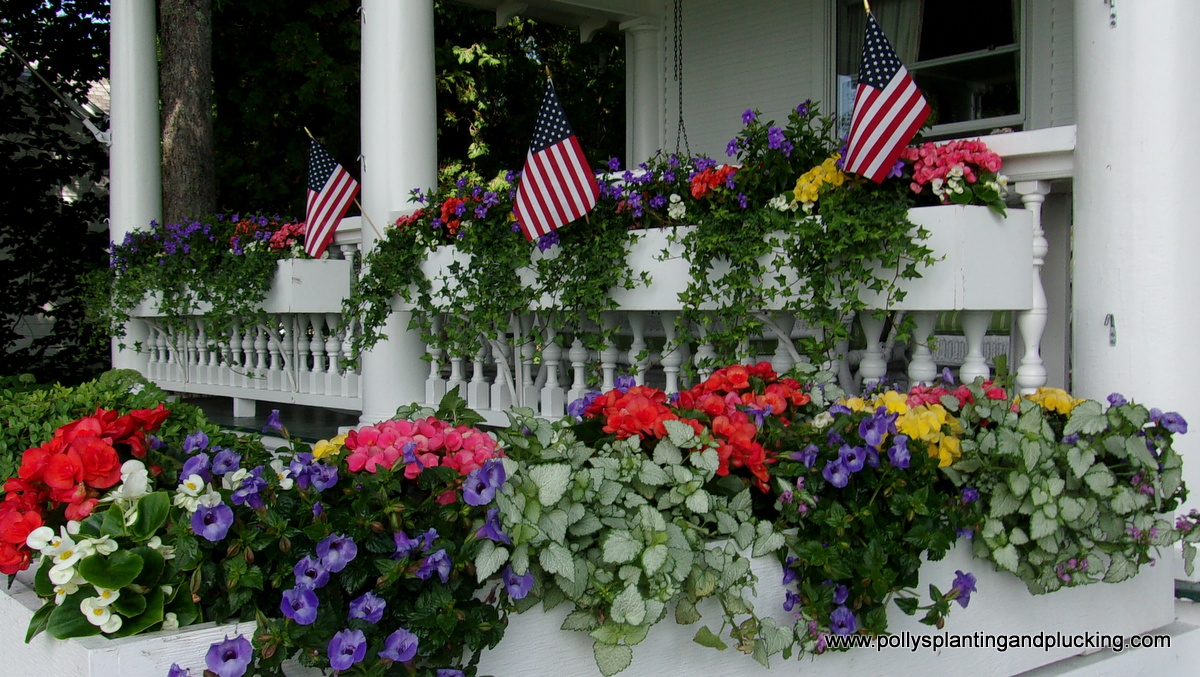 Summer annuals in flower boxes with US Flags